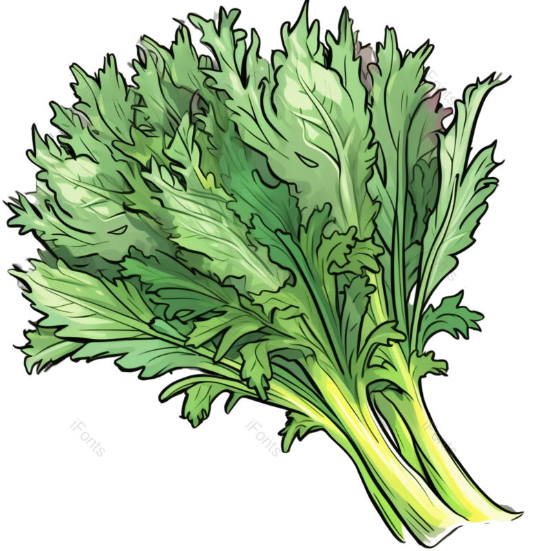 蔬菜图片,绿色元素,植物PNG,绿色食品免抠素材